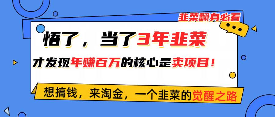 悟了，当了3年韭菜，才发现网赚圈年赚100万的核心是卖项目，含泪分享！-zsff