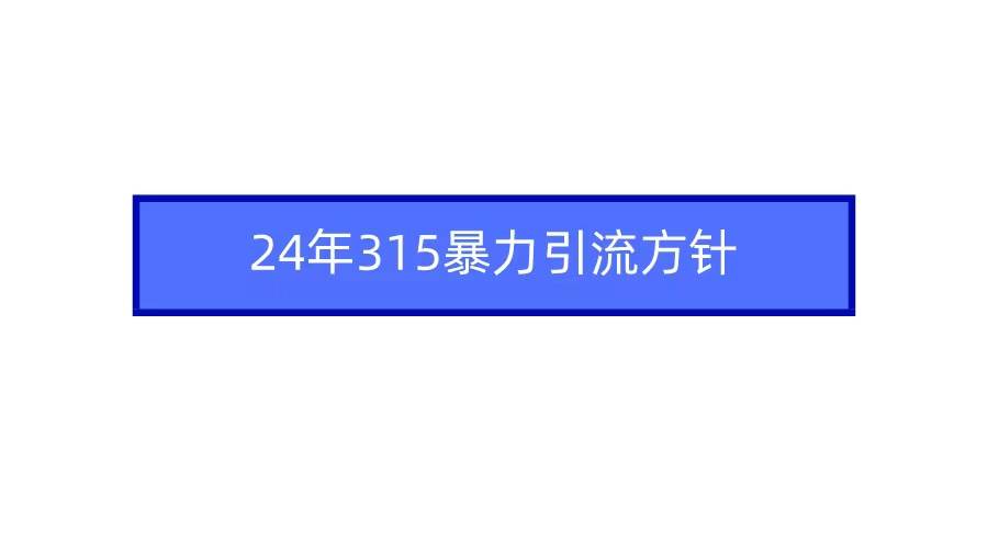 2024年315暴力引流方针-zsff