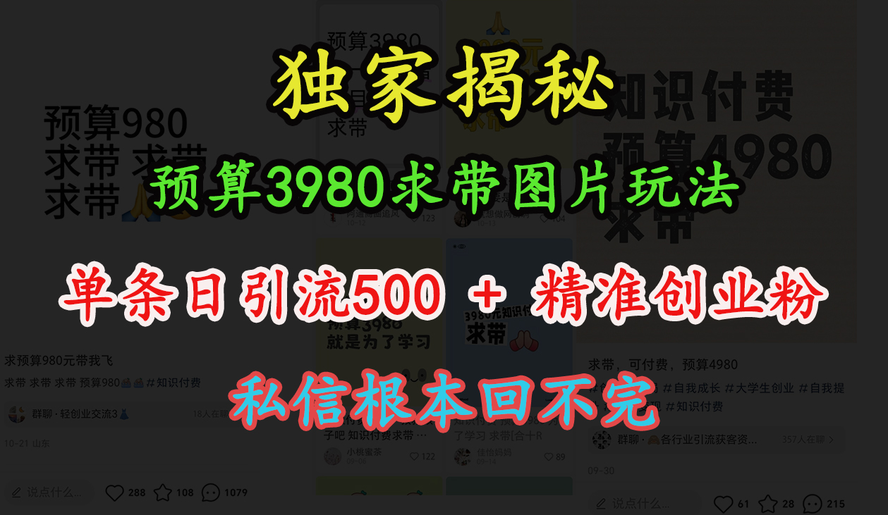 “小红书”预算3980求带 图片玩法，单条日引流500+精准创业粉，私信根本回不完-zsff