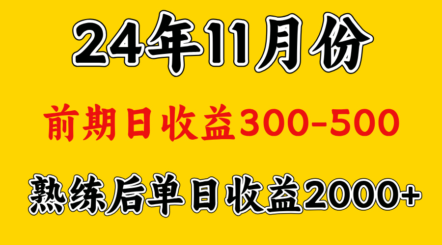 轻资产项目，前期日收益500左右，后期日收益1500-2000左右，多劳多得-zsff