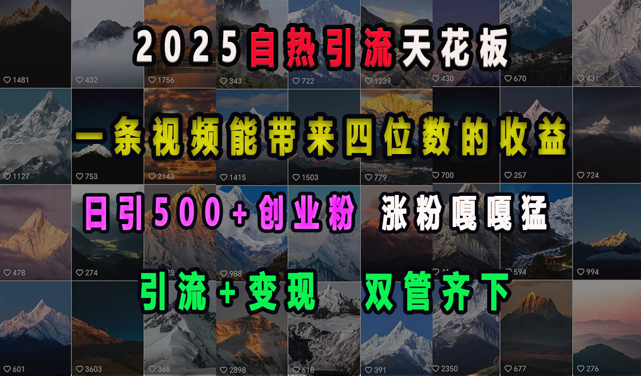 2025自热引流天花板，一条视频能带来四位数的收益，引流+变现双管齐下，日引500+创业粉，涨粉嘎嘎猛-zsff