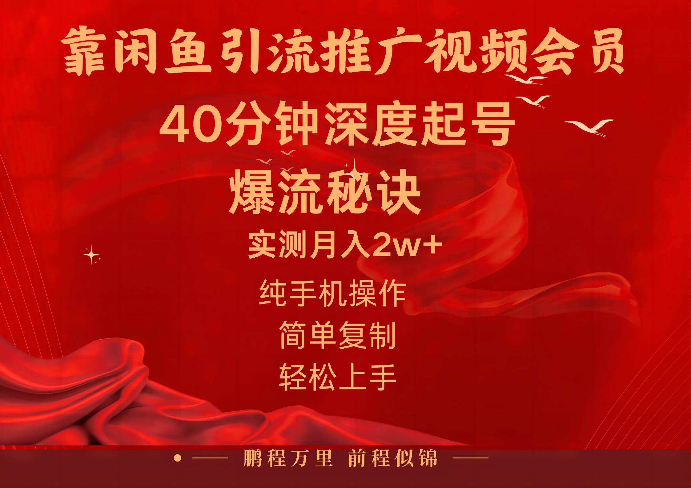 闲鱼暴力引流推广视频会员，能做到日入2W+，操作简单-zsff