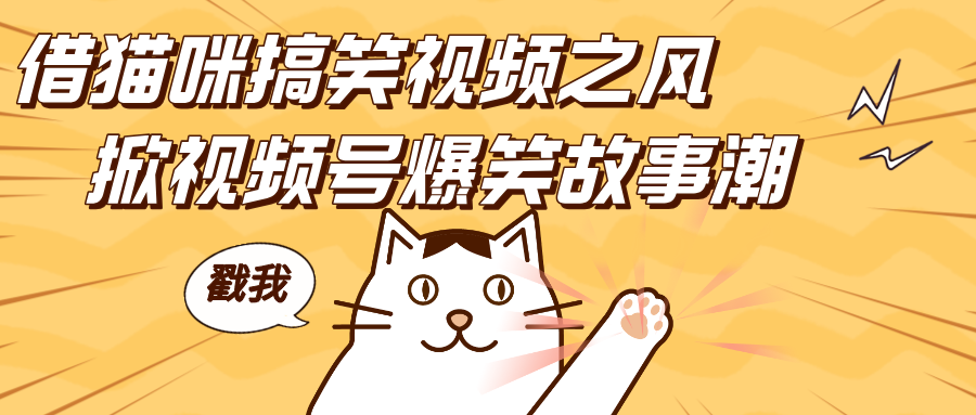 借猫咪搞笑视频之风，掀视频号爆笑故事潮，轻松日赚四位数，开启无门槛赚钱新体验！-zsff