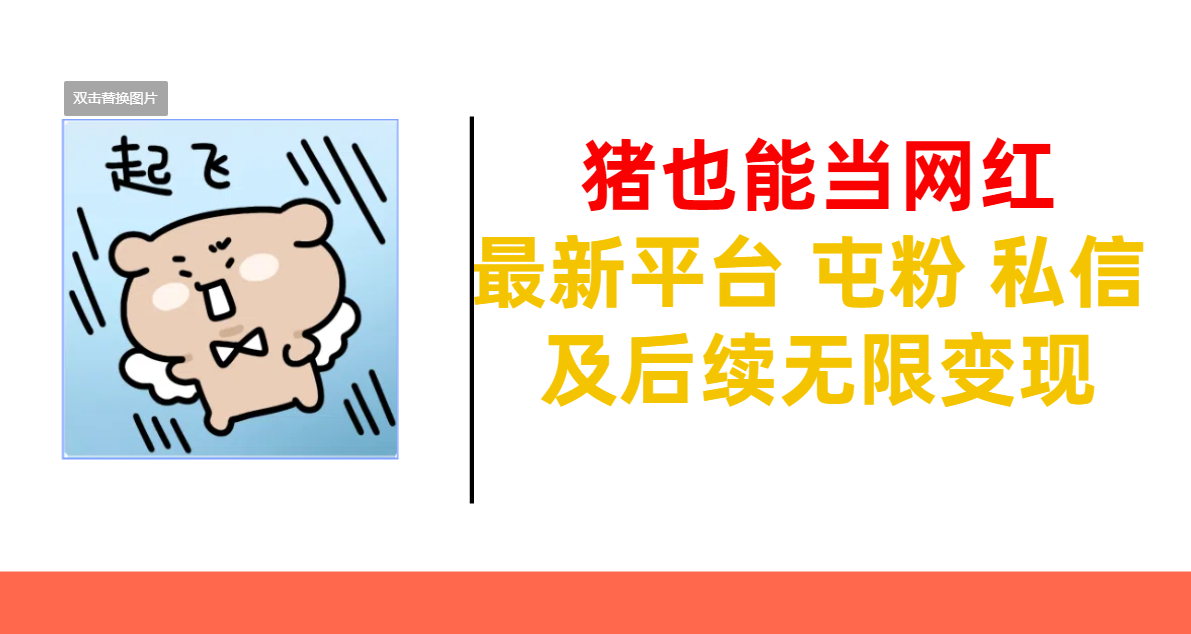 猪也能当网红-最新平台 屯粉 交流 私信 及后续无限变现-zsff