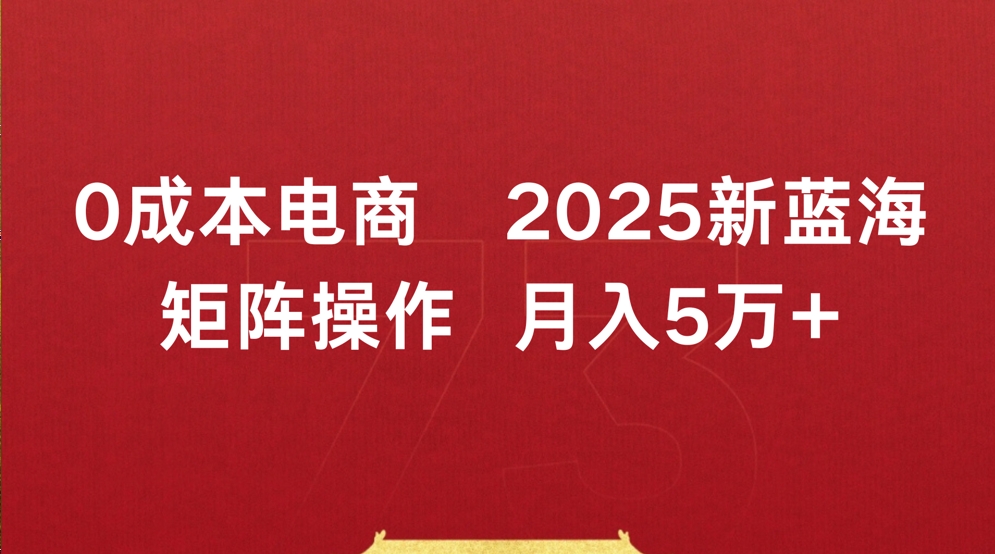 0成本电商2025新蓝海矩阵操作 月入5万+-zsff