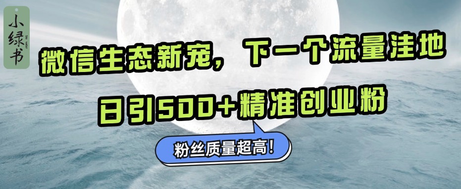 微信生态新宠小绿书：下一个流量洼地，粉丝质量超高，日引500+精准创业粉，-zsff