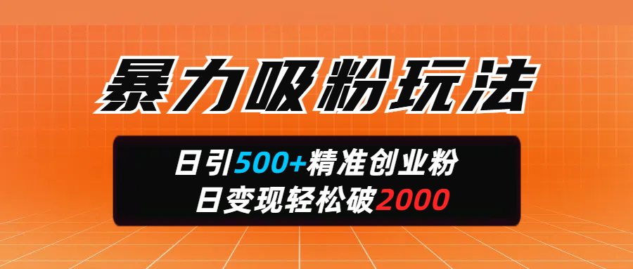 暴力吸粉玩法，日引500+精准创业粉，日变现轻松破2000-zsff