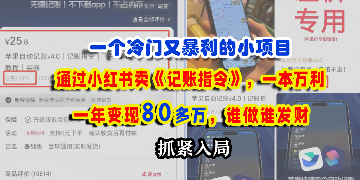 一个冷门又暴利的小项目，通过小红书卖《记账指令》，一本万利，一年变现80多万，谁做谁发财-zsff