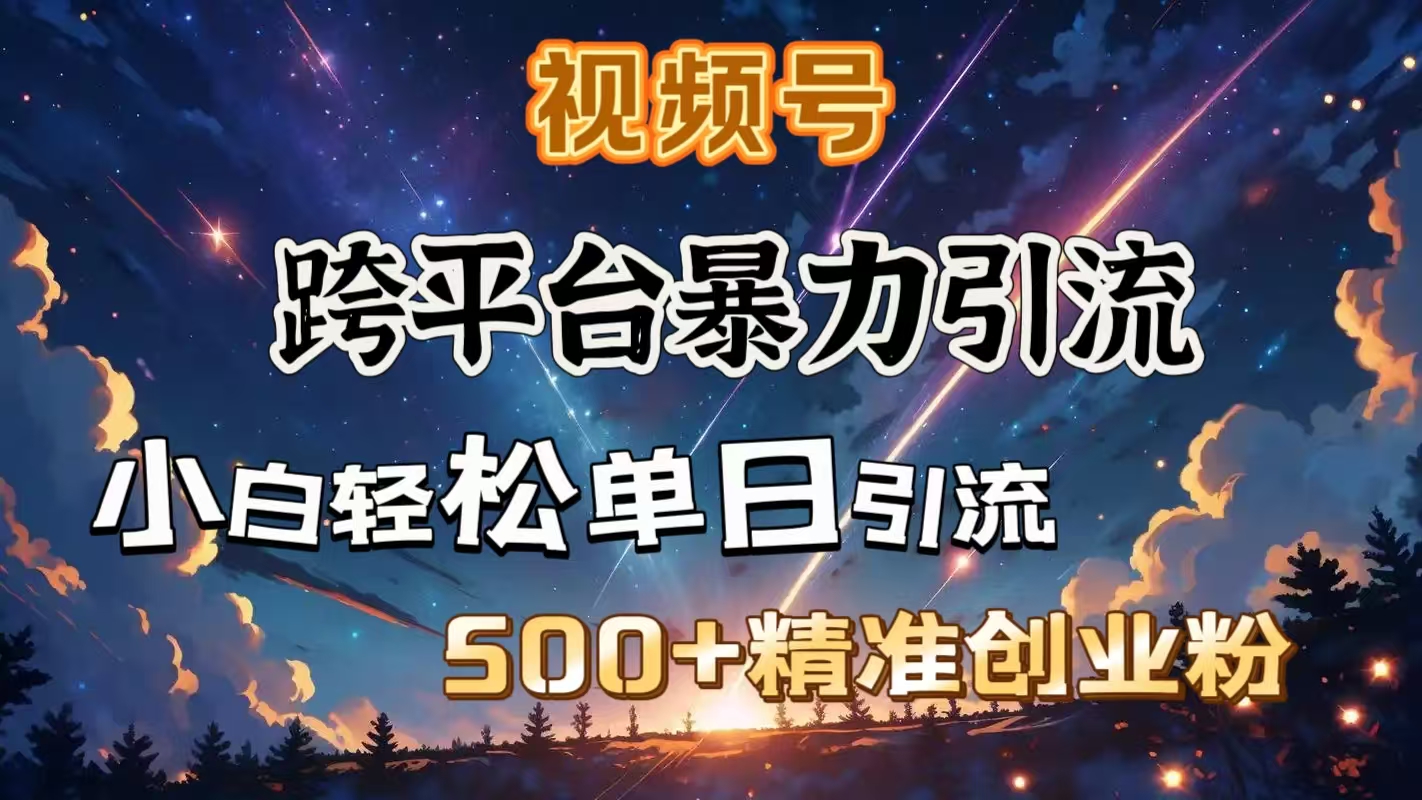 视频号跨平台暴力引流，小白轻松单日引流500＋精准创业粉-zsff