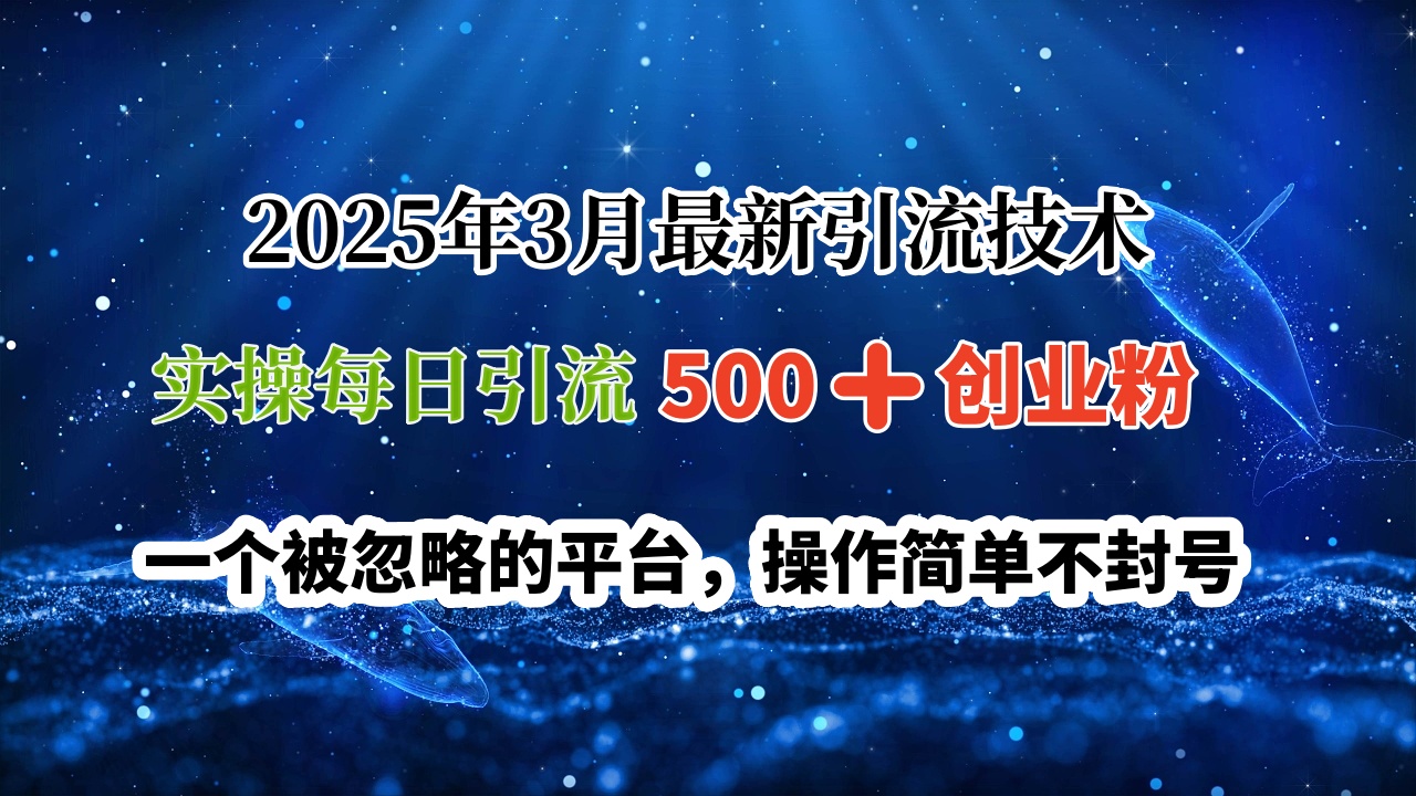 2025年3月最新引流技术，实操每日引流500➕创业粉，一个被忽略的平台，操作简单不封号-zsff