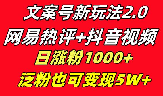文案号新玩法 网易热评+抖音文案 一天涨粉1000+ 多种变现模式 泛粉也可变现-zsff