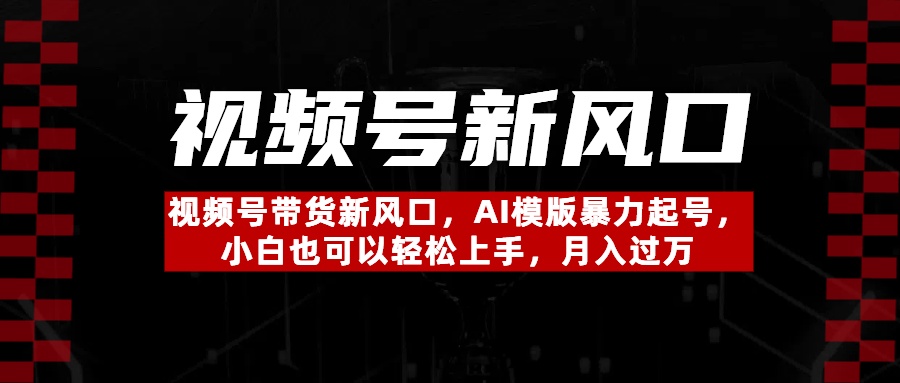 视频号带货新风口，AI模版暴力起号，小白也可以轻松上手，月入过万-zsff