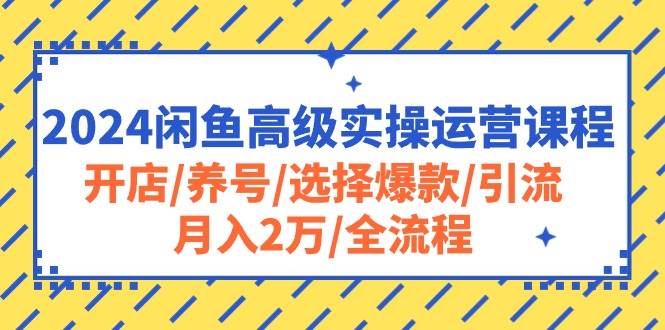 2024闲鱼高级实操运营课程：开店/养号/选择爆款/引流/月入2万/全流程-zsff