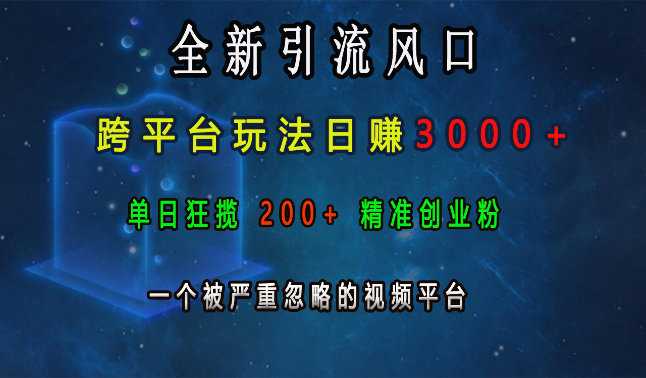 全新引流风口，跨平台玩法日赚3000+，单日狂揽200+精准创业粉，一个被严重忽略的视频平台-zsff