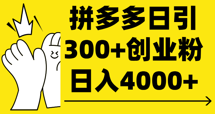 拼多多日引300+创业粉 日入4000+-zsff