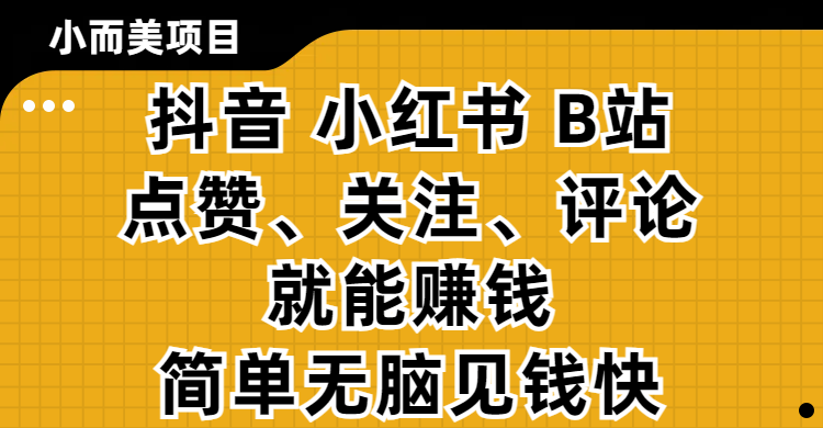 小而美的项目，抖音、小红书、B站视频点赞、关注、评论就能赚钱，简单无脑立见收益！妥妥的零撸项目-zsff