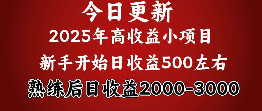 2025开年好项目，新手日收益500+ 熟练掌握后，日收益平均2000多-zsff