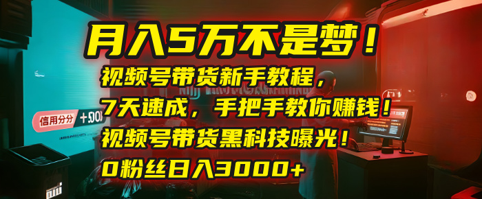 月入5万不是梦！视频号带货新手教程，7天速成，手把手教你赚钱！视频号带货黑科技曝光！0粉丝日入3000+-zsff