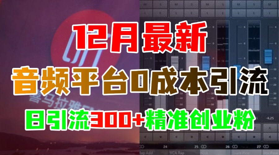 12月最新：音频平台0成本引流，日引300+精准创业粉-zsff