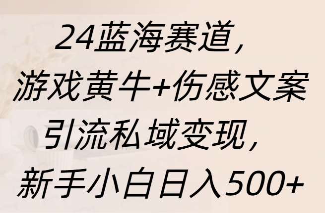 24蓝海赛道，游戏黄牛+伤感文案引流私域变现，新手日入500+-zsff