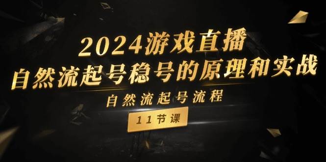 2024游戏直播-自然流起号稳号的原理和实战，自然流起号流程（11节）-zsff