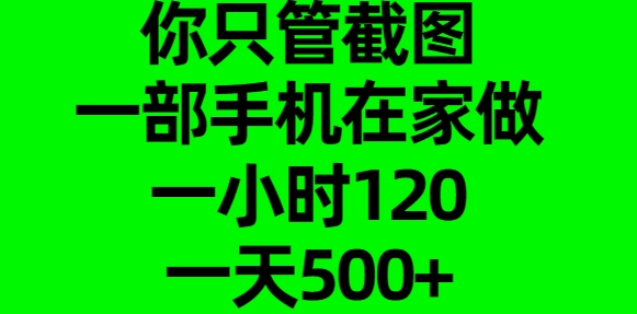 你只管截图，一部手机在家做，一小时120，一天500+-zsff