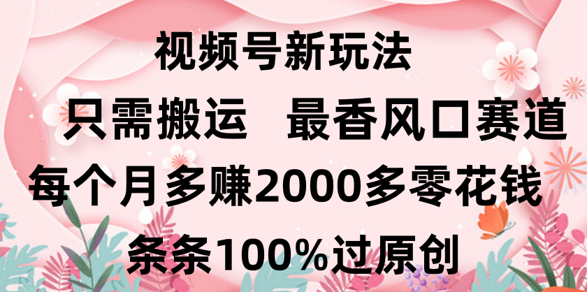 日入2000+，条条100%过原创，视频号最香风口赛道，小白轻松上手-zsff
