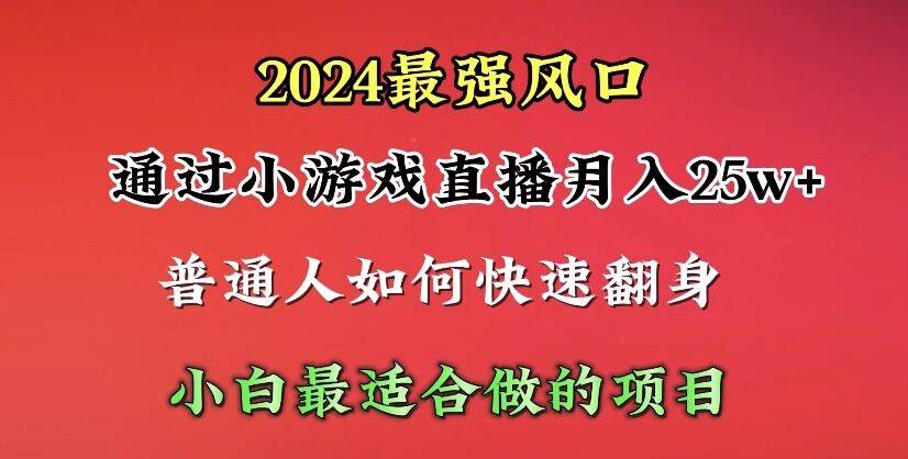 2024年最强风口，通过小游戏直播月入25w+单日收益5000+小白最适合做的项目-zsff