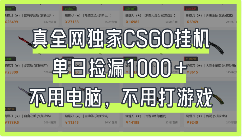 真全网独家CSGO挂机，单日捡漏1000+-zsff