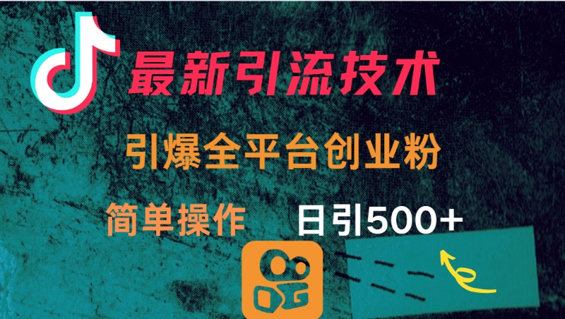 最新引流方法，引爆全平台创业粉操作简单，日引300＋-zsff