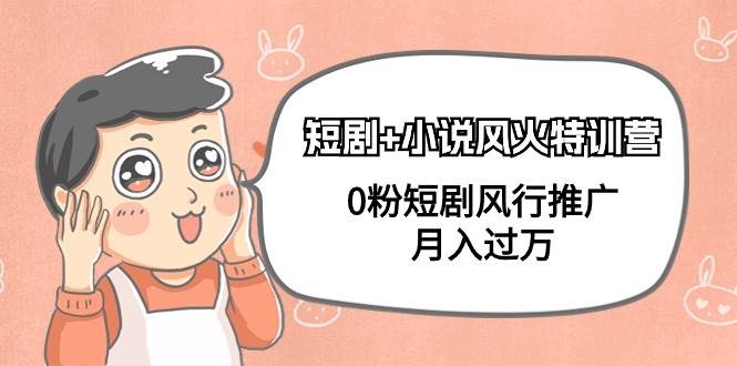 短剧+小说风火特训营，0粉短剧风行推广，月入过万（102节课）-zsff