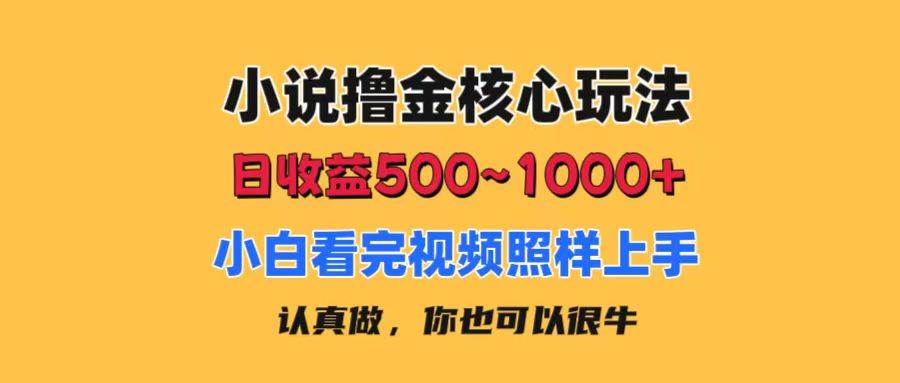 小说撸金核心玩法，日收益500-1000+，小白看完照样上手，0成本有手就行-zsff