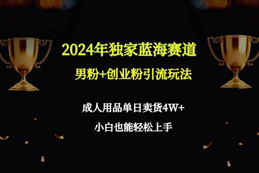 2024年独家蓝海赛道男粉+创业粉引流玩法，成人用品单日卖货4W+保姆教程-zsff