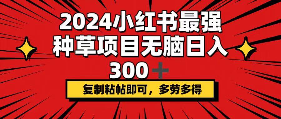2024小红书最强种草项目，无脑日入300+，复制粘帖即可，多劳多得-zsff