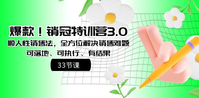爆款！销冠特训营3.0之顺人性销售法，全方位解决销售难题、可落地、可执行、有结果-zsff