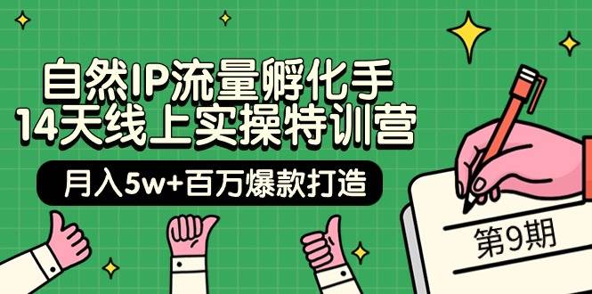 自然IP流量孵化手 14天线上实操特训营【第9期】月入5w+百万爆款打造 (74节)-zsff
