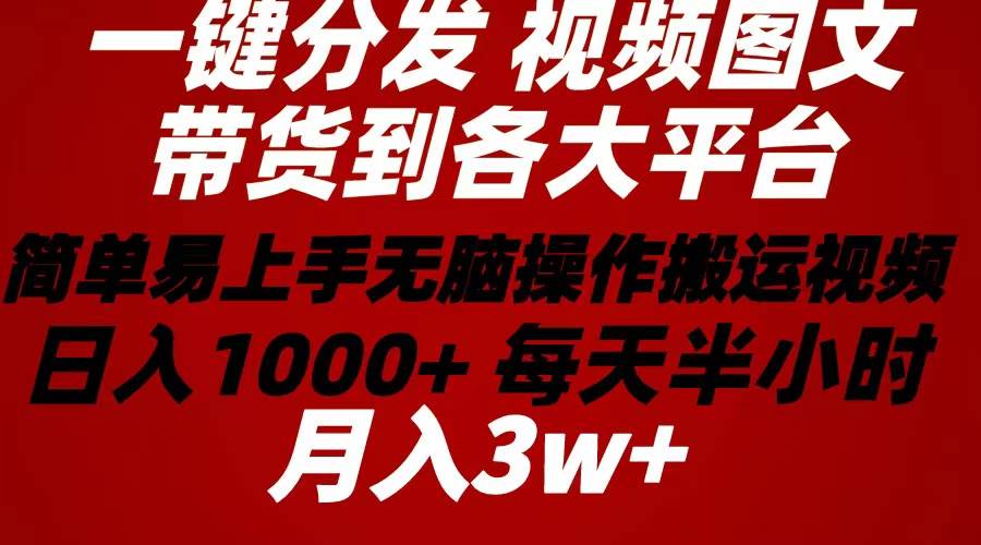 2024年 一键分发带货图文视频  简单易上手 无脑赚收益 每天半小时日入1…-zsff