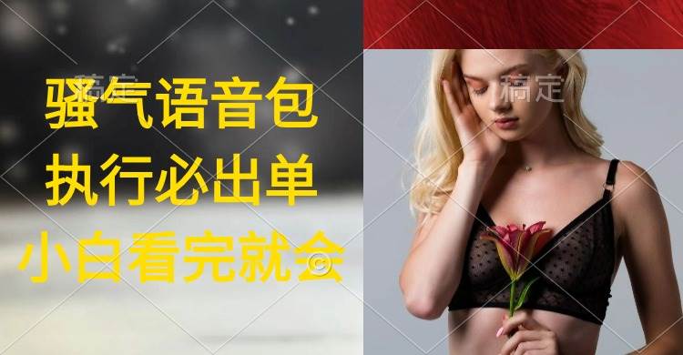 执行就出单，日入2000+，超火骚气语音包，小白看完课程就能马上实操-zsff