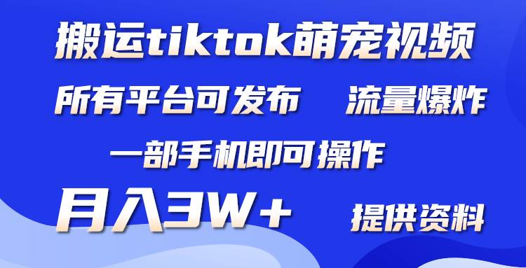 搬运Tiktok萌宠类视频，一部手机即可。所有短视频平台均可操作，月入3W+-zsff