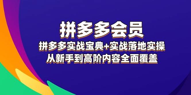 拼多多 会员，拼多多实战宝典+实战落地实操，从新手到高阶内容全面覆盖-zsff