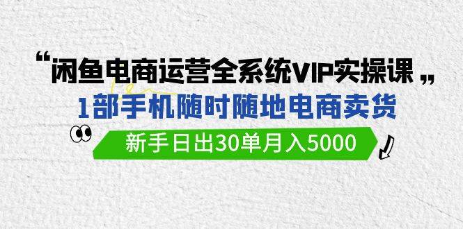闲鱼电商运营全系统VIP实战课，1部手机随时随地卖货，新手日出30单月入5000-zsff