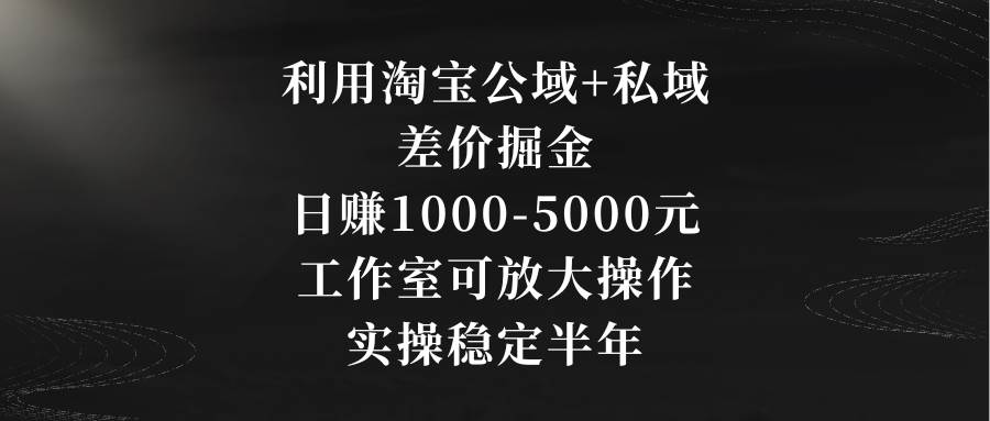 利用淘宝公域+私域差价掘金，日赚1000-5000元，工作室可放大操作，实操…-zsff