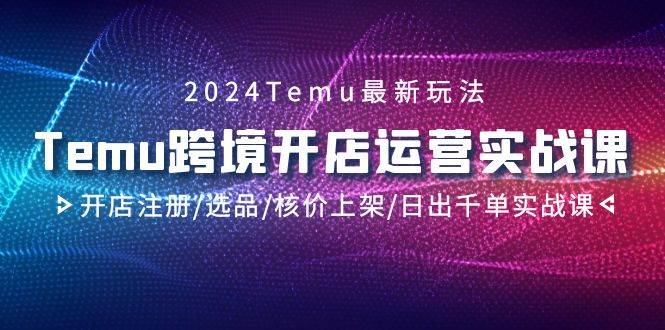 2024Temu跨境开店运营实战课，开店注册/选品/核价上架/日出千单实战课-zsff
