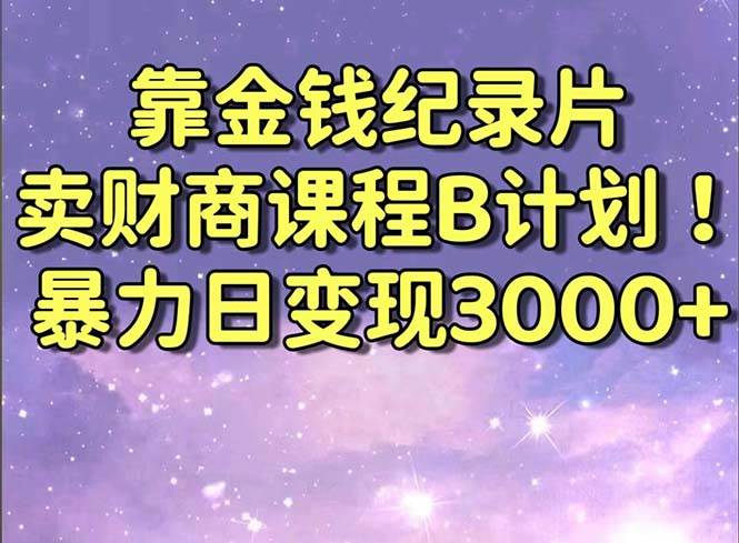 靠金钱纪录片卖财商课程B计划！暴力日变现3000+，喂饭式干货教程！-zsff