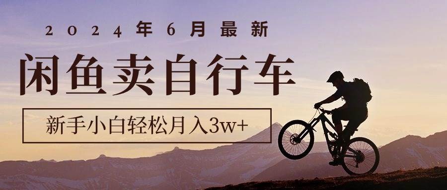 2024年6月最新闲鱼卖自行车，新手小白轻松月入3w+项目-zsff