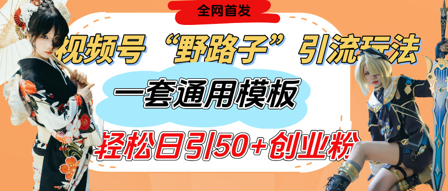 视频号“野路子”玩法，评论区疯狂截流，一套模板单日单号引流50+创业粉-zsff