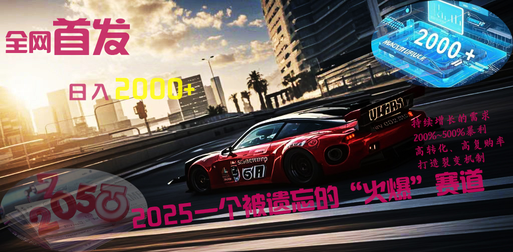 全网首发：2025一个被遗忘的“火爆”赛道轻松日入2000+-zsff