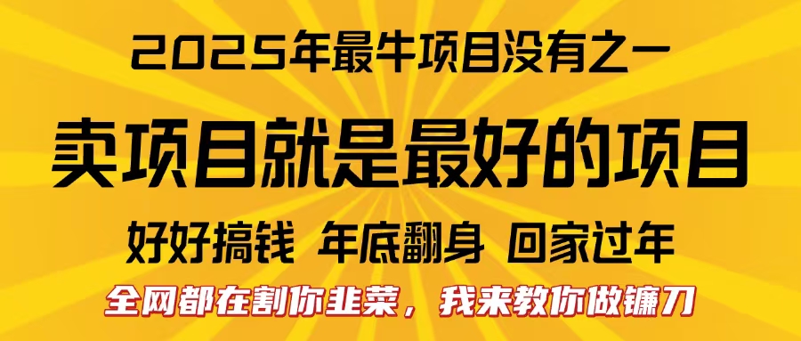 全网都在割你韭菜，我来教你做镰刀。卖项目就是最好的项目，2025年最牛互联网项目-zsff