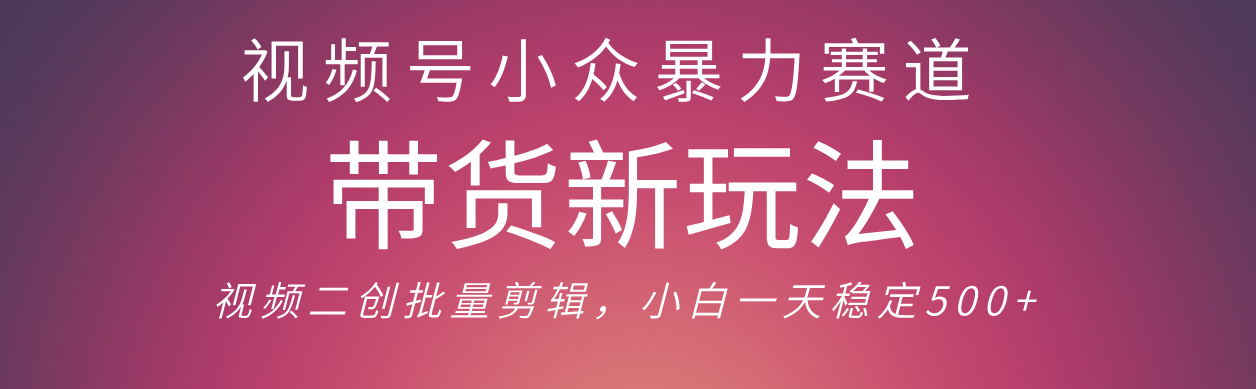 视频号小众暴力赛道，最新带货玩法 小白也能轻松日入500+ 保姆及教程-zsff