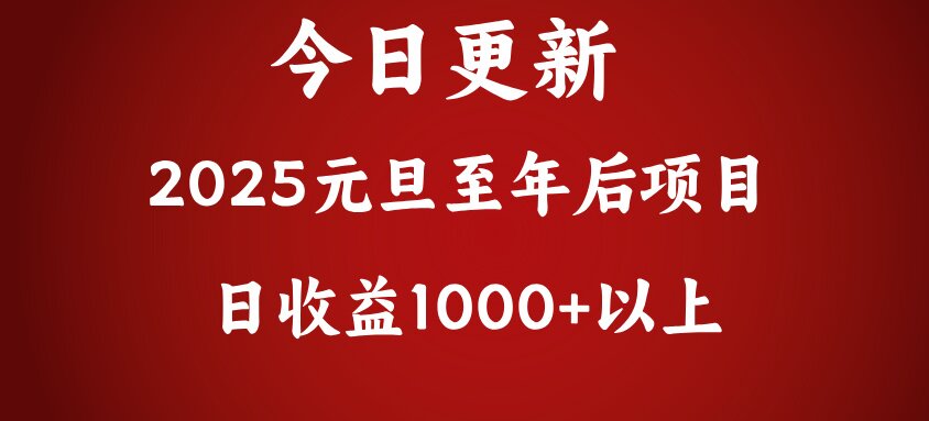 翻身项目，日收益1000+以上-zsff
